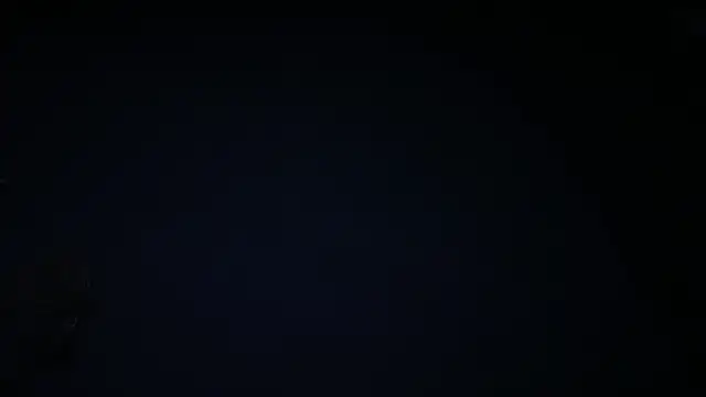 icebergslim281 webcam