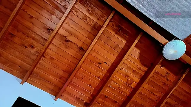 SilvaBranko webcam