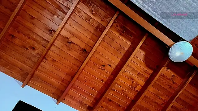 SilvaBranko webcam