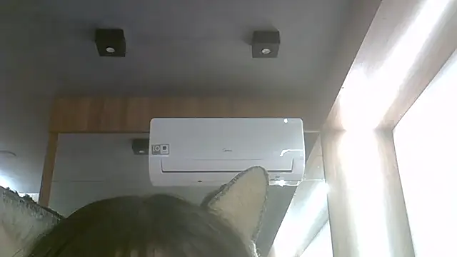 SkinnyKitten webcam