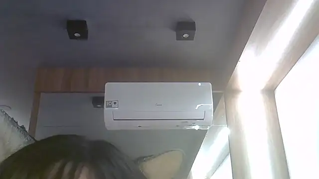 SkinnyKitten webcam