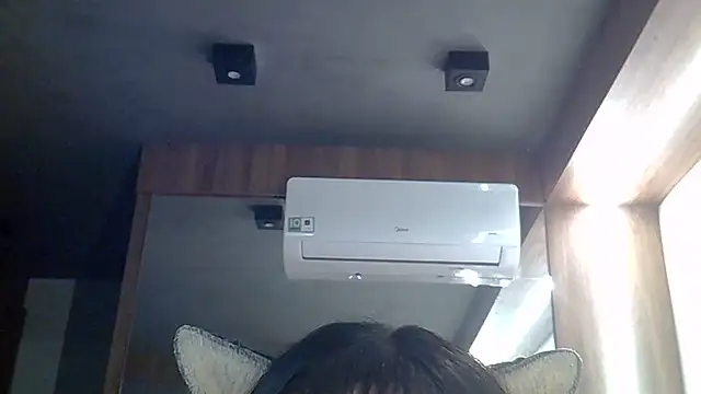 SkinnyKitten webcam
