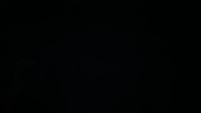 icebergslim281 webcam