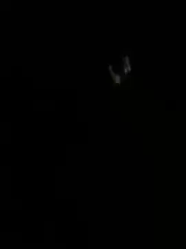 ZF-Athlete live cam on StripChat