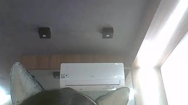 SkinnyKitten webcam