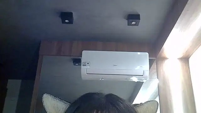 SkinnyKitten webcam