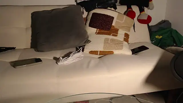 dirty_27cms webcam