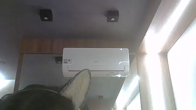 SkinnyKitten webcam
