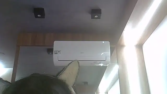 SkinnyKitten live cam on StripChat