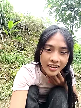 Hoa-tuylip webcam