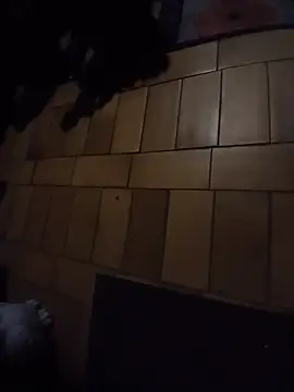 Mikko59 webcam