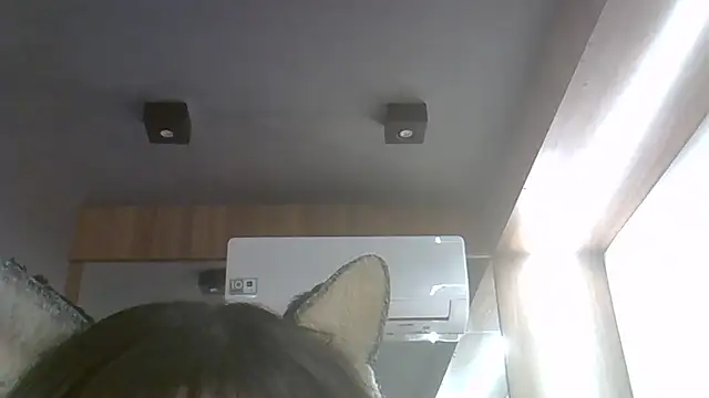 SkinnyKitten webcam