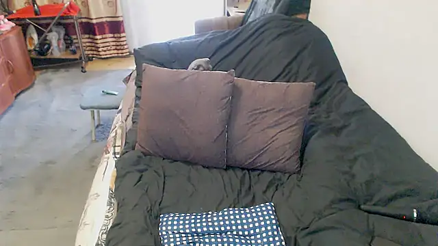 sex2 webcam