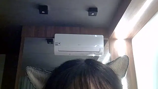SkinnyKitten webcam