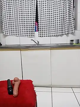 MaturePrettyLady01 webcam