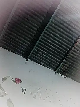 Dan_eli15