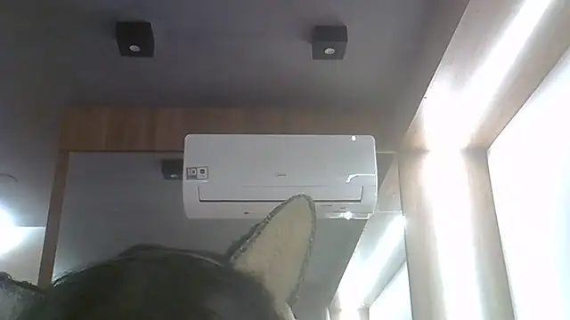 SkinnyKitten webcam