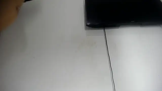 Fox_Loves