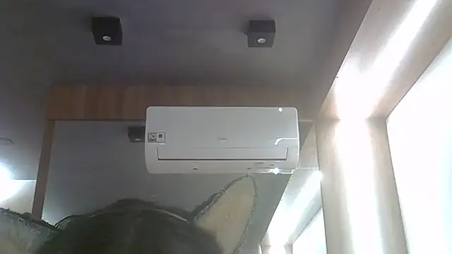 SkinnyKitten webcam