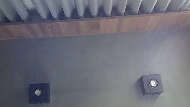 SkinnyKitten webcam