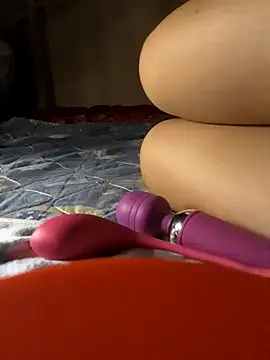 -Tara-a webcam