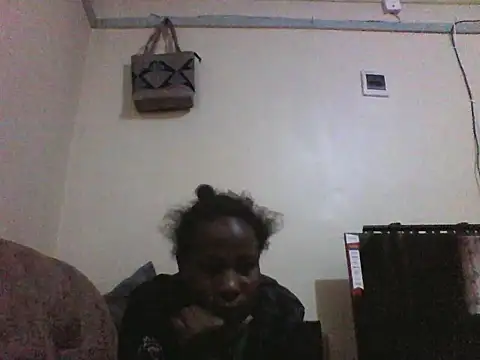 Slimgall webcam