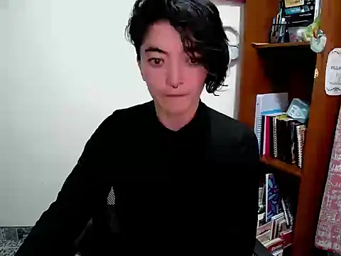 Came-II webcam