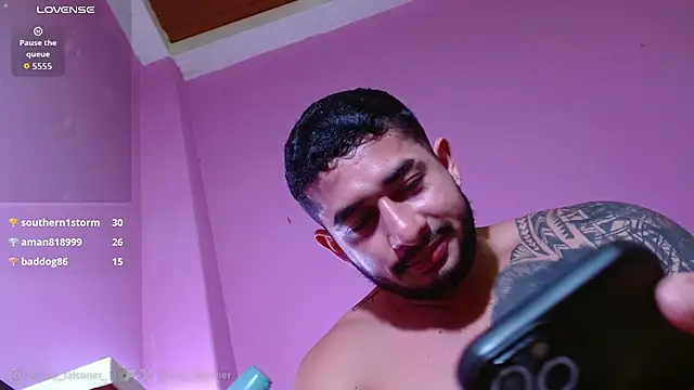 king_falconer webcam