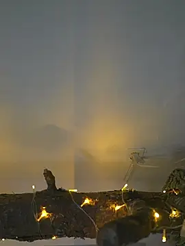 AlphaMasterXxx webcam