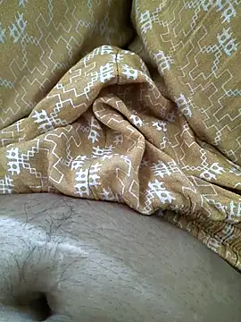 aarvicam webcam