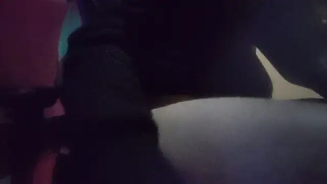 bddxxx1 webcam