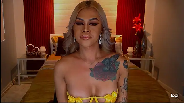 StellaStrong30 webcam