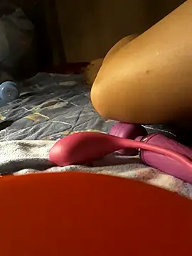 -Tara-a webcam