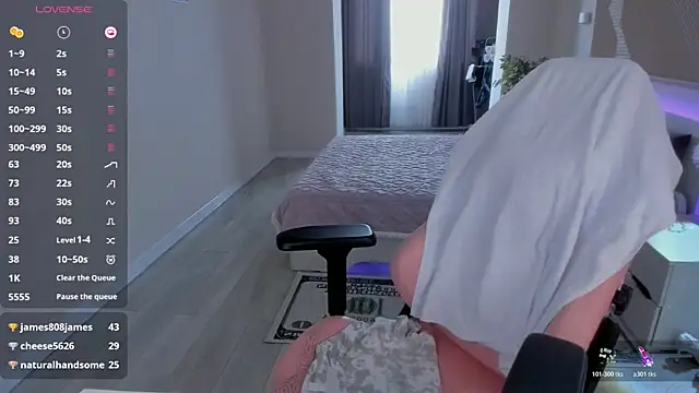 Seiko_swan webcam