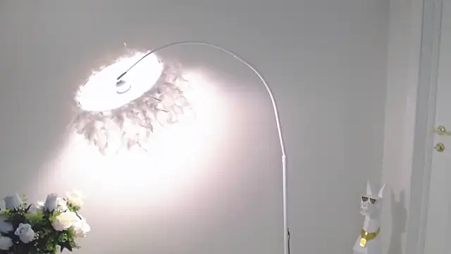 VeliaSai webcam