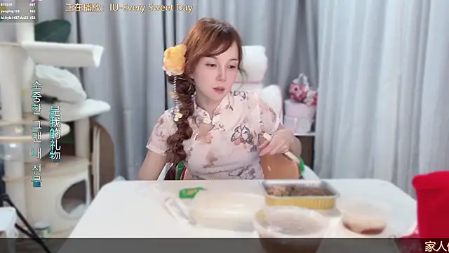 hi-AnAn webcam