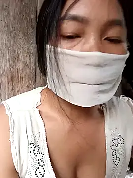 Hiha-nn webcam