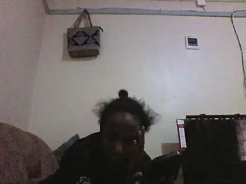 Slimgall webcam
