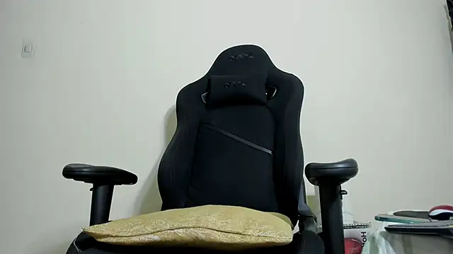Alan_Fire webcam