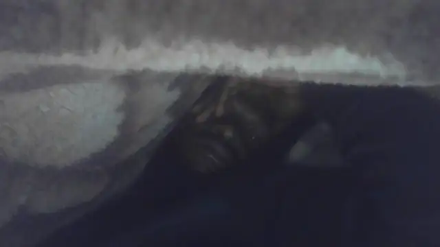 Big_B_Cock_1 webcam