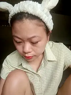 embe1144 webcam