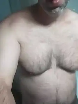 WienBearBi live cam on StripChat