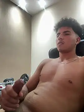 henrids webcam