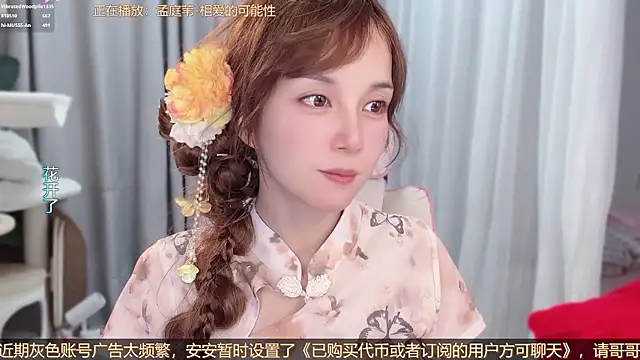hi-AnAn webcam