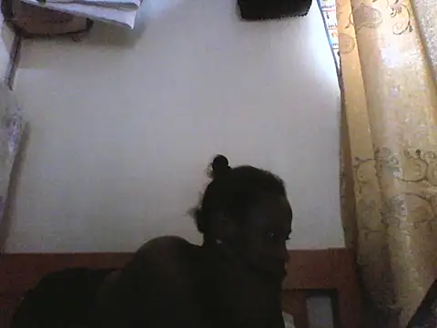 Slimgall webcam
