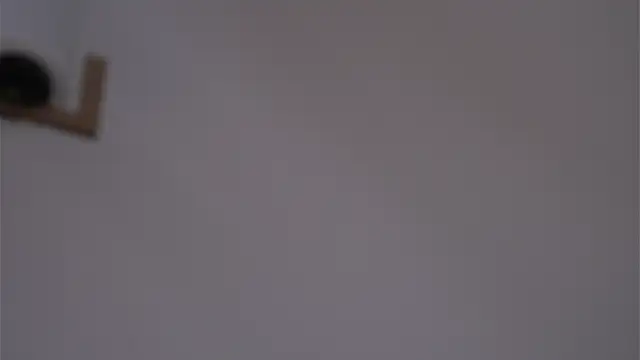EdlinGathright webcam