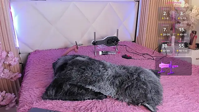 veronica_hill_ webcam