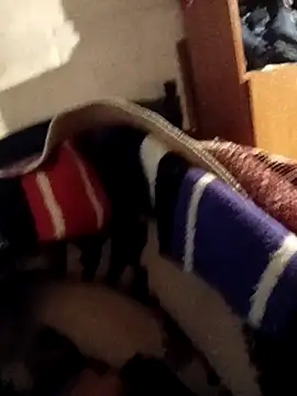 whitecock8-8 webcam