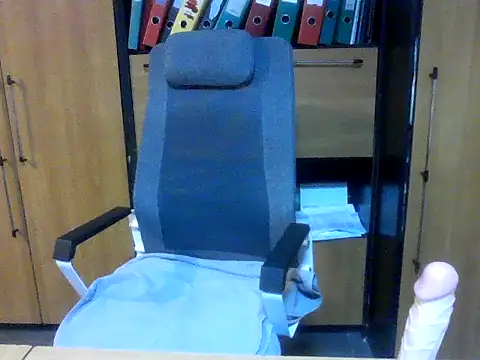 Robotnikm webcam