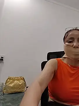 Fanritar webcam